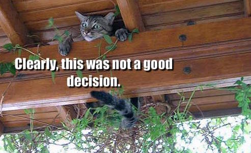 how-to-make-good-decisions